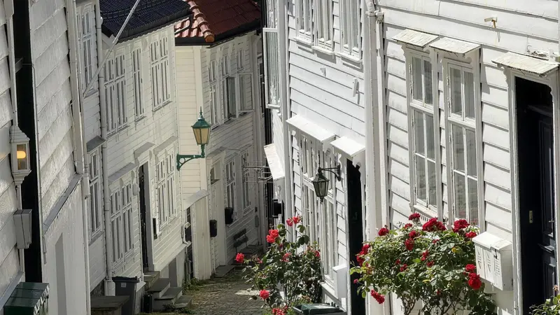A narrow lane of white wooden Bergen houses with red roses climbing the walls