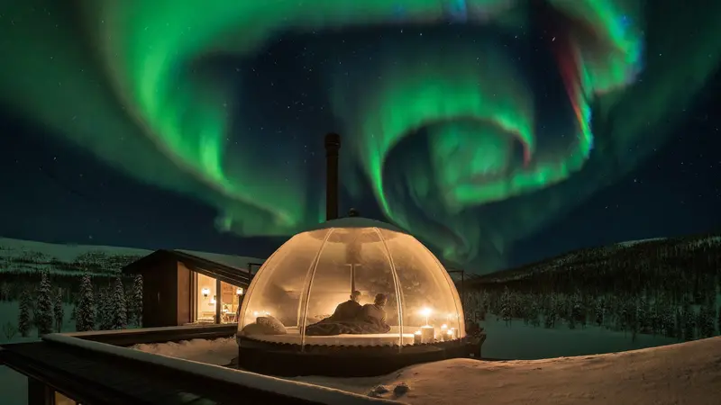 Glass-roofed cabin under green northern lights in a snowy Norwegian forest