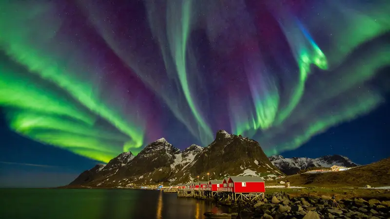 Green aurora corona over the red cabins of Reine in Lofoten